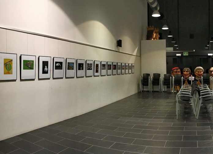 sala palamós exposició