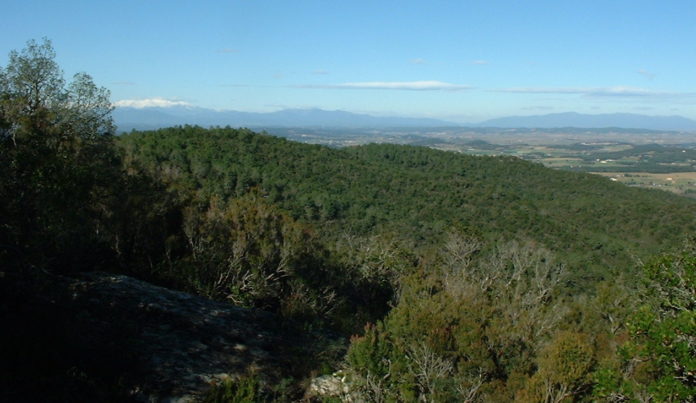 Vista des de la Serra de Cals a les Gavarres / Pitu