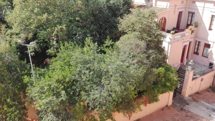 Els Jardins del Monestir de Sant Feliu de Guíxols