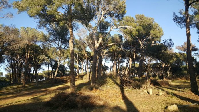 Bosc Parc Aventura Fosca