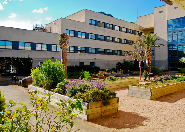 Palamós Gent Gran en una imatge d'arxiu