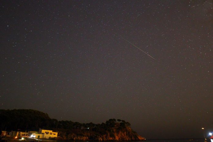 perseids