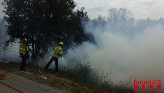 foc al bosc
