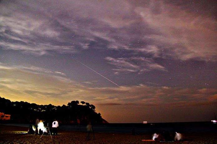 Perseids astroemporda