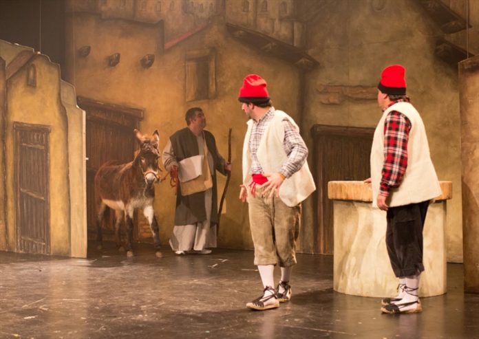 pastorets palafrugell