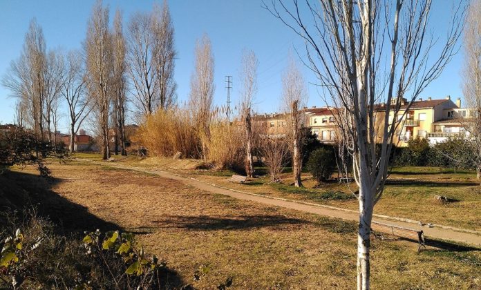 Una de les propostes més votades ha estat la instal·lació d'una zona de pícnic al Parc de la Bassa (al costat de l'ITV) | Imatge de l'Ajuntament de Palamós