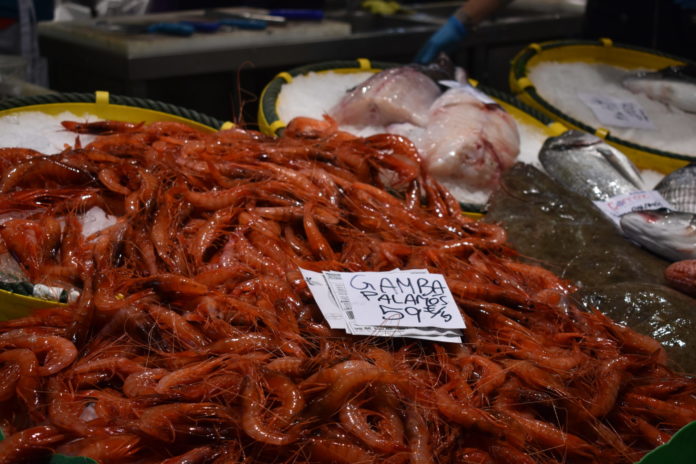 Gamba de Palamós a la Llotja de Palamós