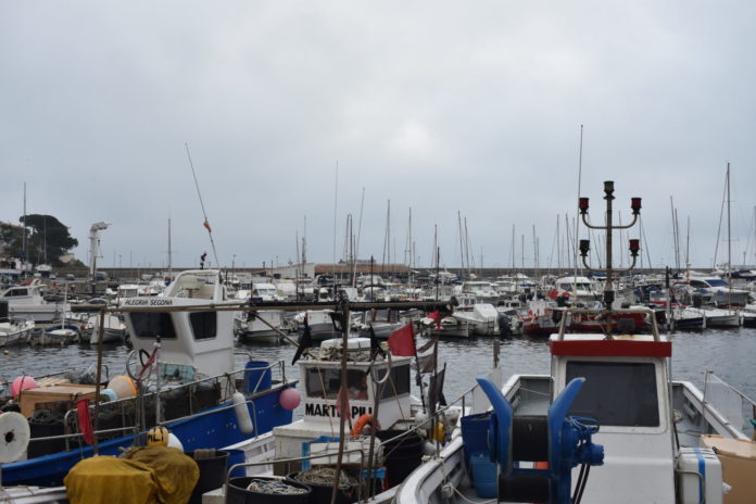 Port Palamós (18)
