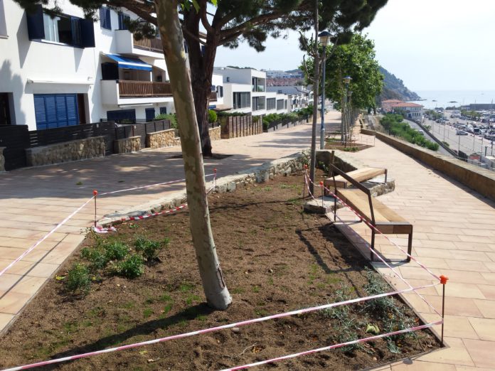 El Passeig de les Pites, més verd i més obert.