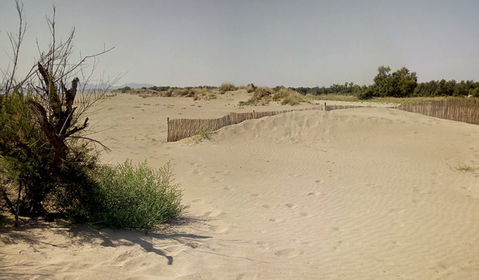 Dunes de les platges de la Costa Brava