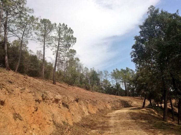 Puig de la Bateria