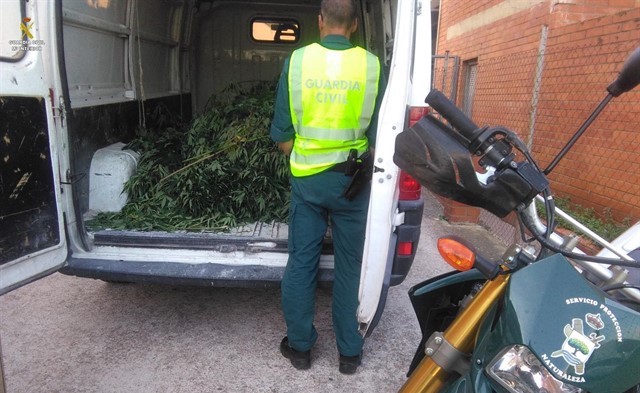 Agent davant de la furgoneta amb les plantes de marihuana a Santa Cristina d'Aro | Imatge de la Guàrdia Civil
