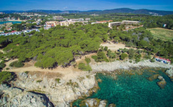 Rebutgen la rotonda i el camí de la Pineda d’en Gori i presenten un nou recurs Pineda d'en Gori - Cala s'Alguer | Imatge de Lucas Fox