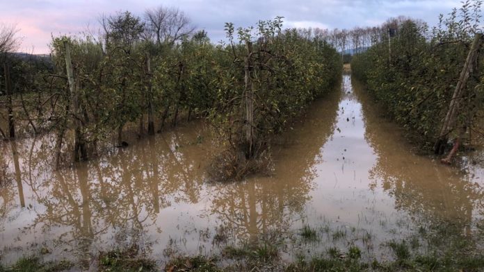Camps Inundats