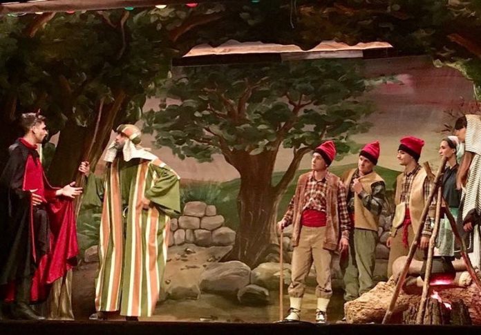 pastorets de Pals