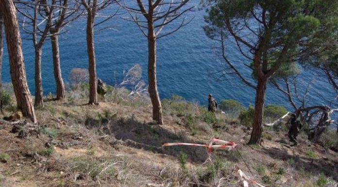 Xalets a Puntabrava Sant Feliu 00005 Zona de construcció a Puntabrava a Sant Feliu de Guíxols | Imatge de Guíxols des del Carrer-Entesa