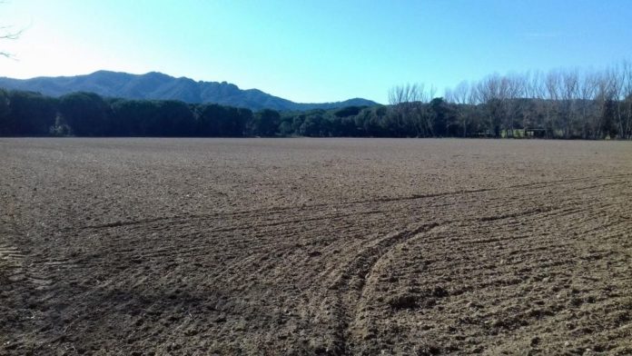 Zona del projecte urbanístic de la Riera dels Molinets