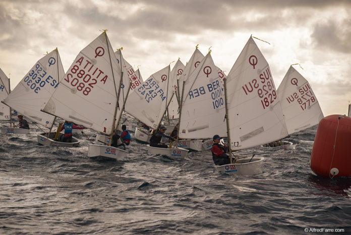 Palamós Optimist