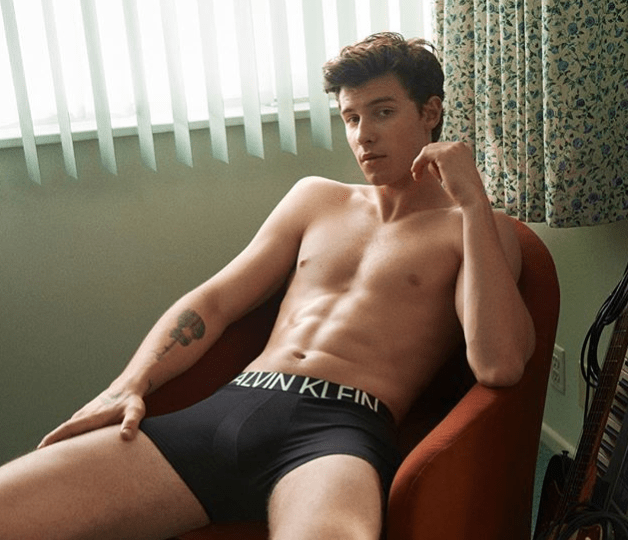 Shawn Mendes es despulla a Instagram i li plouen els &ldquo;m&rsquo;agrada&rdquo;