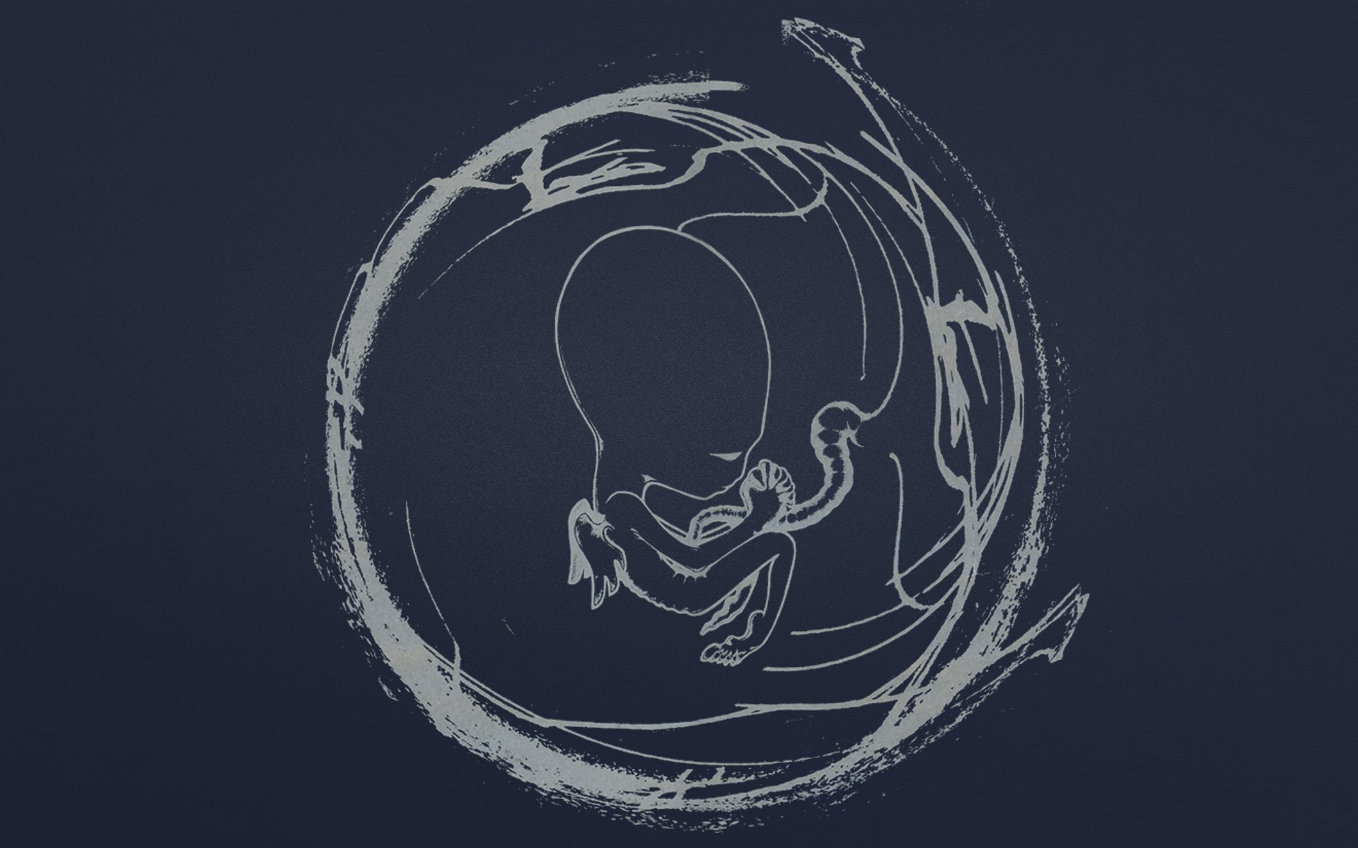 Sigur R&oacute;s reeditaran &ldquo;&Aacute;g&aelig;tis byrjun&rdquo; pels seus 20 anys