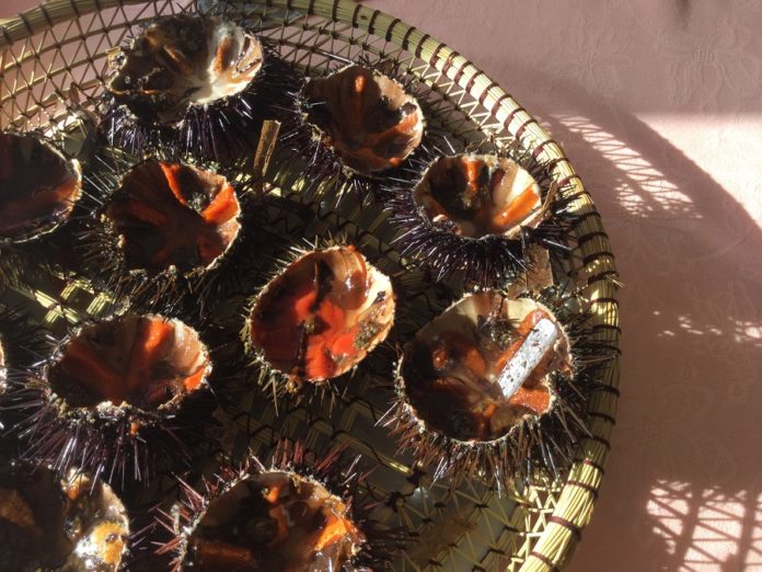 Presentació La Garoinada 2019