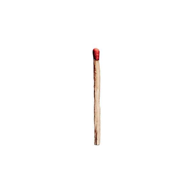 Rammstein avancen la portada del seu nou disc