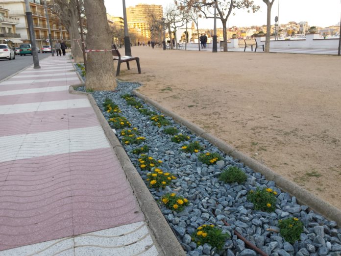 Parterres Palamós