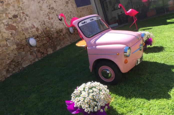 Flors i Violes 2019