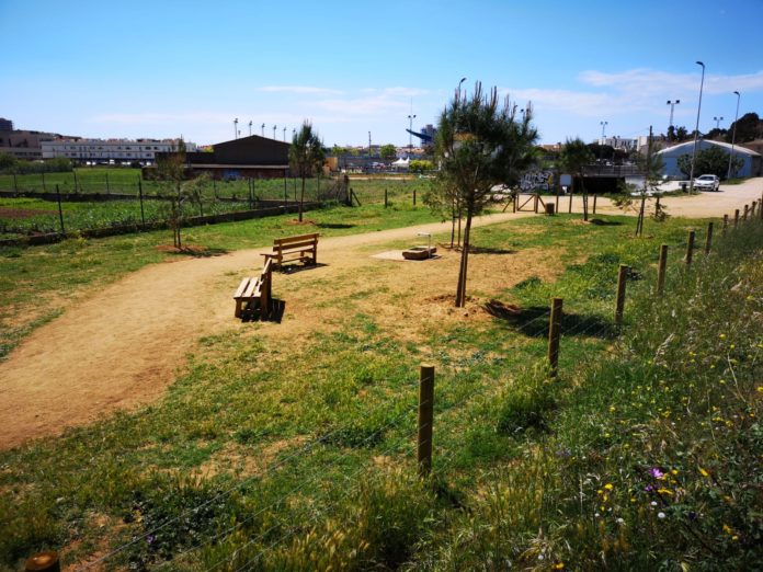 Nou espai gossos palamós