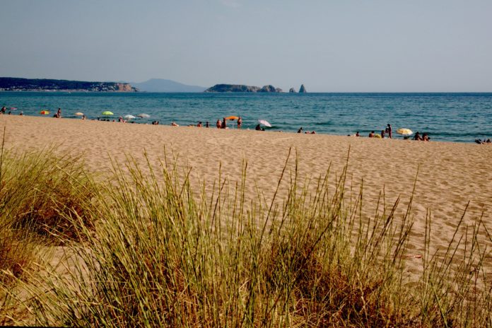 Les dunes de la Platja de Pals en una imatge d'arxiu