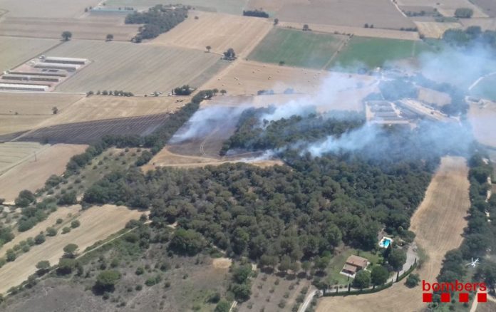 Incendi a Forallac | Imatge dels Bombers de la Generalitat
