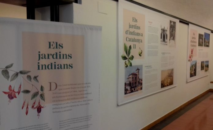 privat:-l’exposicio-“els-jardins-indians”,-tret-de-sortida-de-la-xvi-fira-d’indians-de-begur