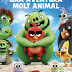 angry-birds-2.-la-pellicula