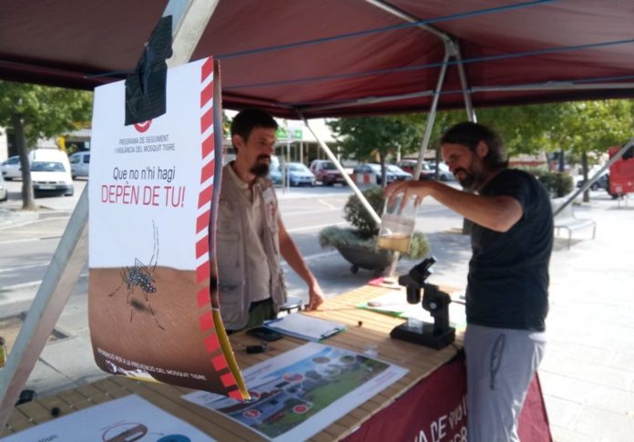 privat:-carpa-de-dipsalut-contra-el-mosquit-tigre,-a-santa-cristina-d’aro