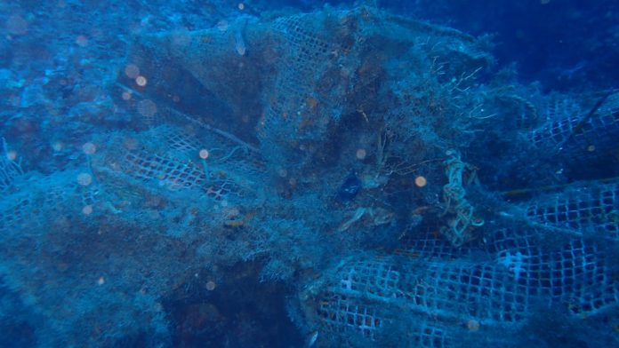 Xarxes de pesca a la zona de Llafranc | Imatge de FECAS