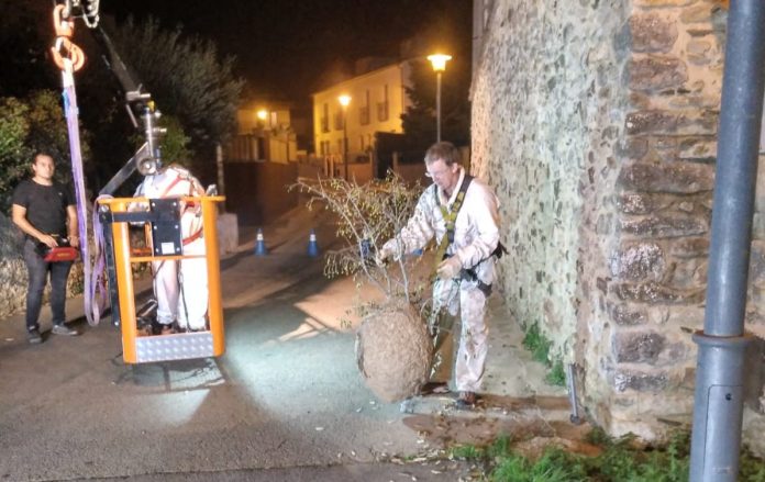 Niu de vespa al carrer Núria de Palafrugell | Imatge de l'Ajuntament de Palafrugell