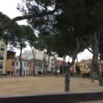 privat:-actuacio-a-4-exemplars-de-pi-de-la-placa-del-camp-d’en-prats-a-palafrugell-per-risc-de-caiguda