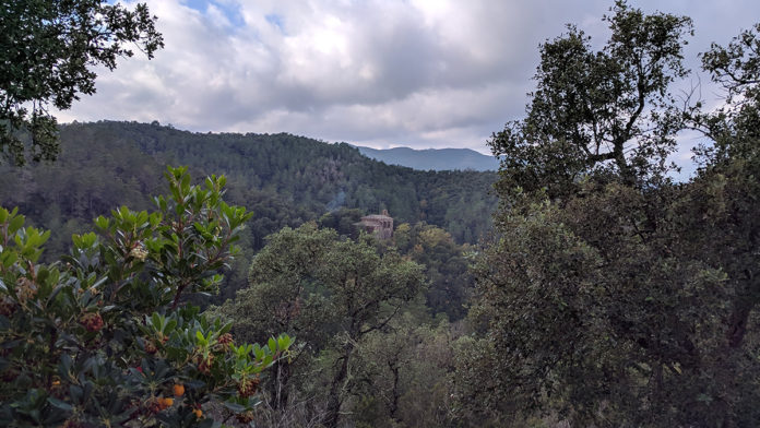 Santa Llúcia Santa Llúcia