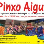 privat:-torna-el-pinxo-d’aigua,-l’activitat-aquatica-de-nadal