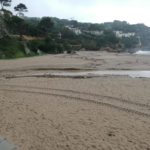 privat:-comenca-la-neteja-de-les-platges-despres-del-temporal-gloria