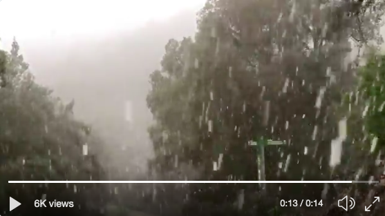 neu i temporal