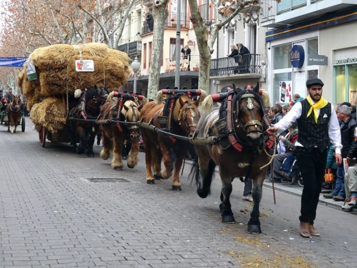 Festa Sant Antoni
