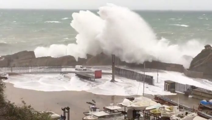 Port de Palamós - Temporal Gloria | Imatge d'Anti-Radar Catalunya