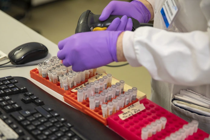 Fent proves per trobar la vacuna del coronavirus en un laboratori | Imatge de HM Treasury Fent proves per trobar la vacuna del coronavirus en un laboratori | Imatge de HM Treasury lliure de drets d'autor