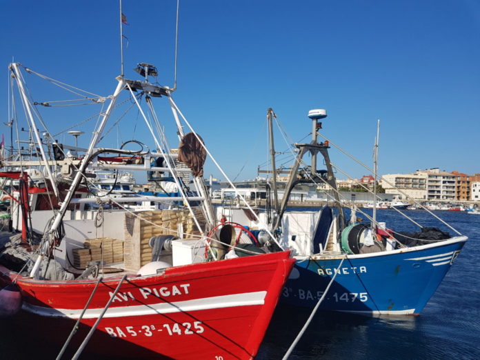 Embarcacions de pesca al Port en una imatge d'arxiu