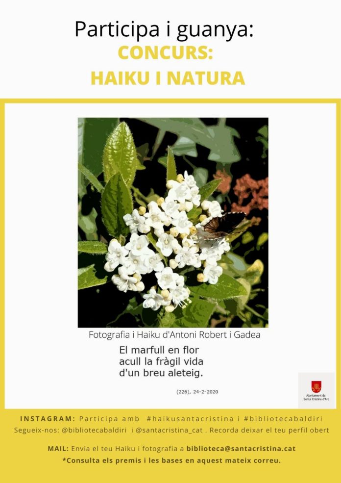 privat:-concurs-poetic-i-fotografic-per-instagram