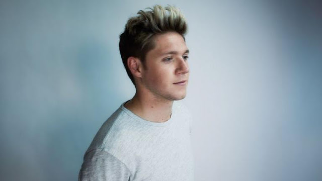 niall-horan-cancella-el-concert-de-barcelona-pel-coronavirus