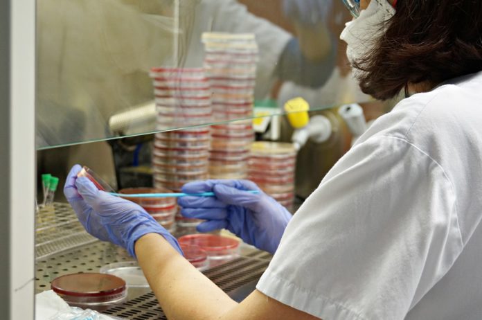 Laboratori de l'Hospital de Palamós on ja es fan proves del coronavirus al Baix Empordà | Imatge del SSIBE