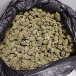 Troben-11-quilos-de-marihuana-en-un-control-de-la-policia-local-de-Torroella-Imatge-del-consistori-00003-768×1024