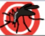 homeradiocappdwwwwp-contentuploads202006echoBANNER-MOSQUIT.jpg